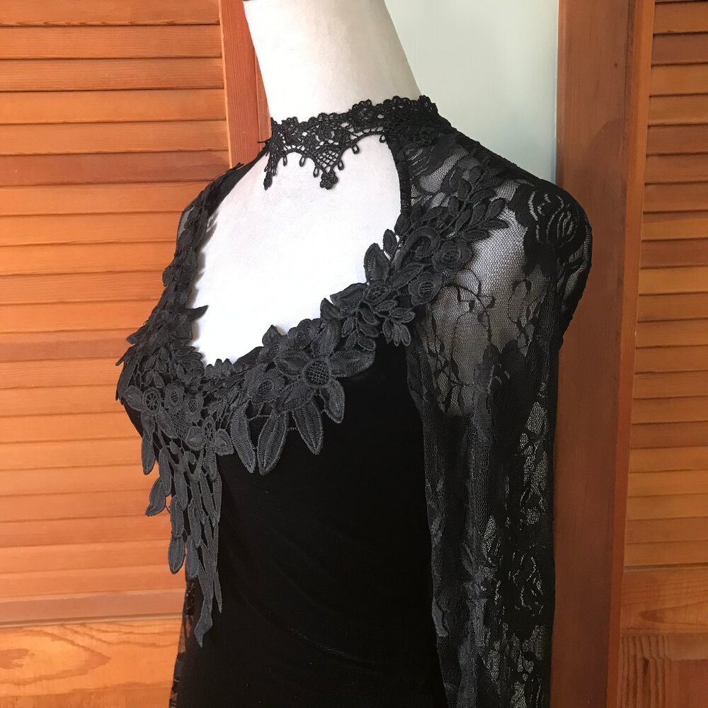 Gothic Victorian Flowers of Evil Black Velvet & Lace Morticia Gown Dress - Picture 8 of 13